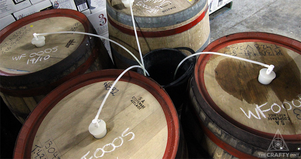 Beer Basics: Yeast Part II – Time To Get Funky - The Crafty Pint