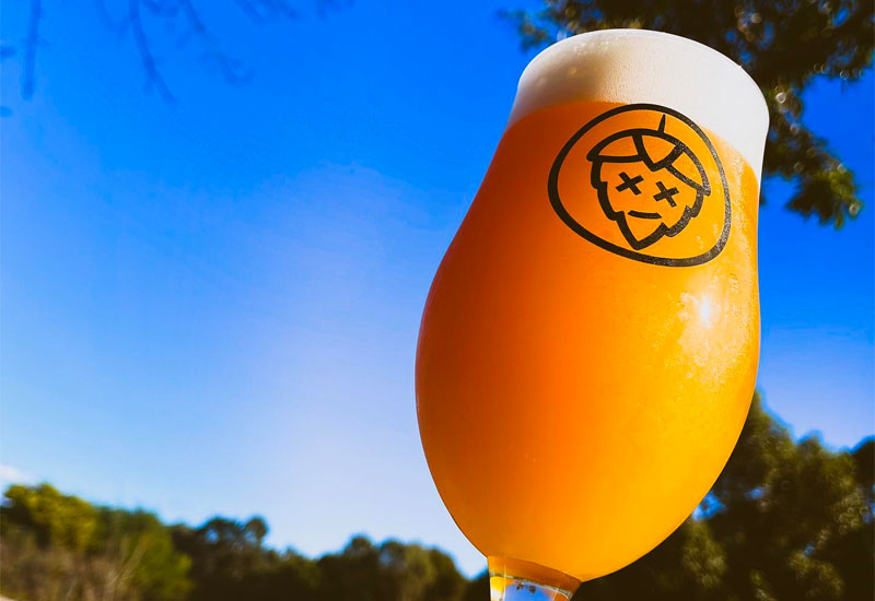 Wild Hop New Releases August 2021 The Crafty Pint