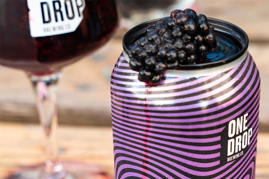 One Drop Double Take Boysenberry The Crafty Pint
