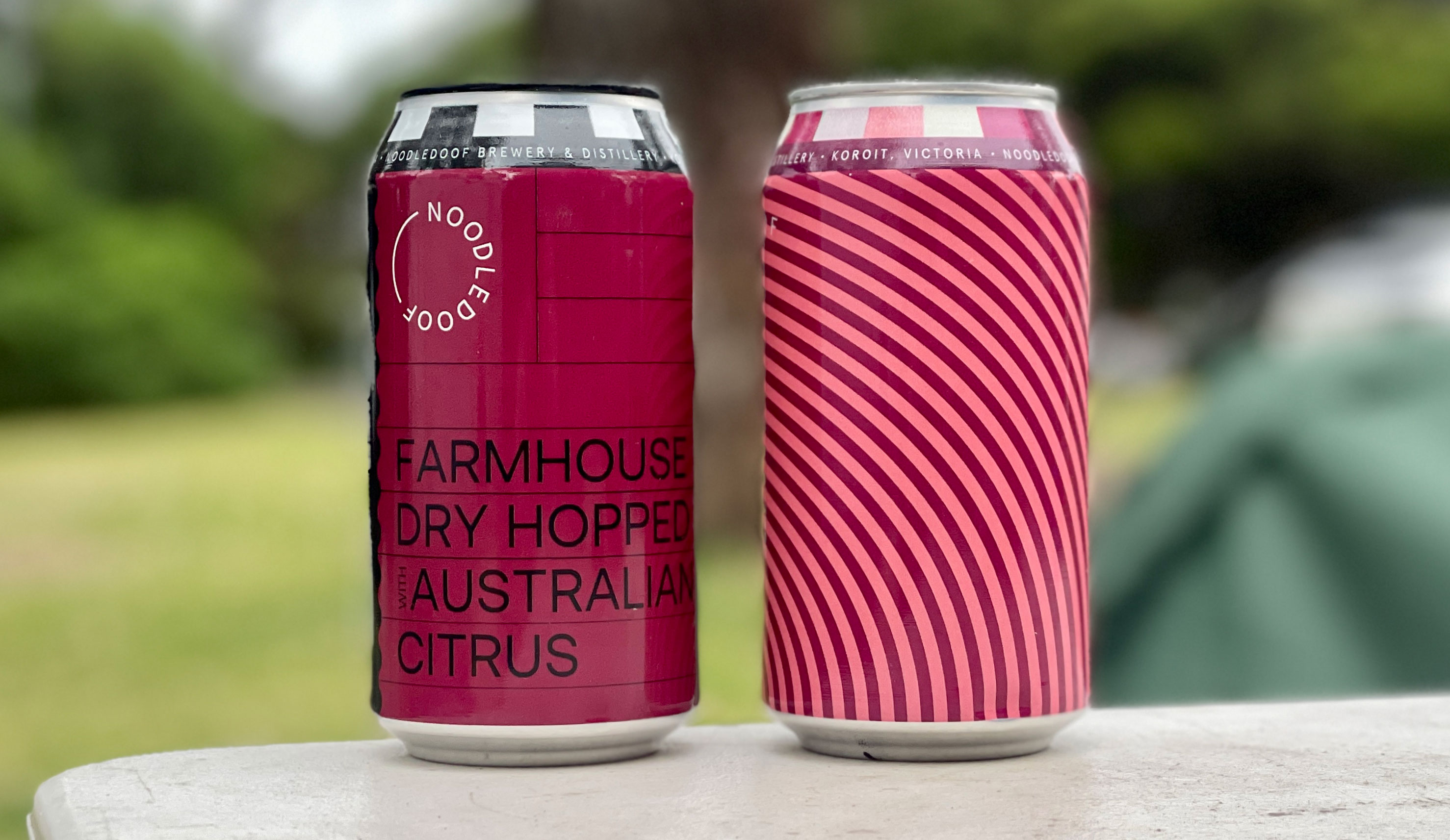 Noodledoof 02 Farmhouse Dry Hopped Australian Citrus & Rhubarb Custard