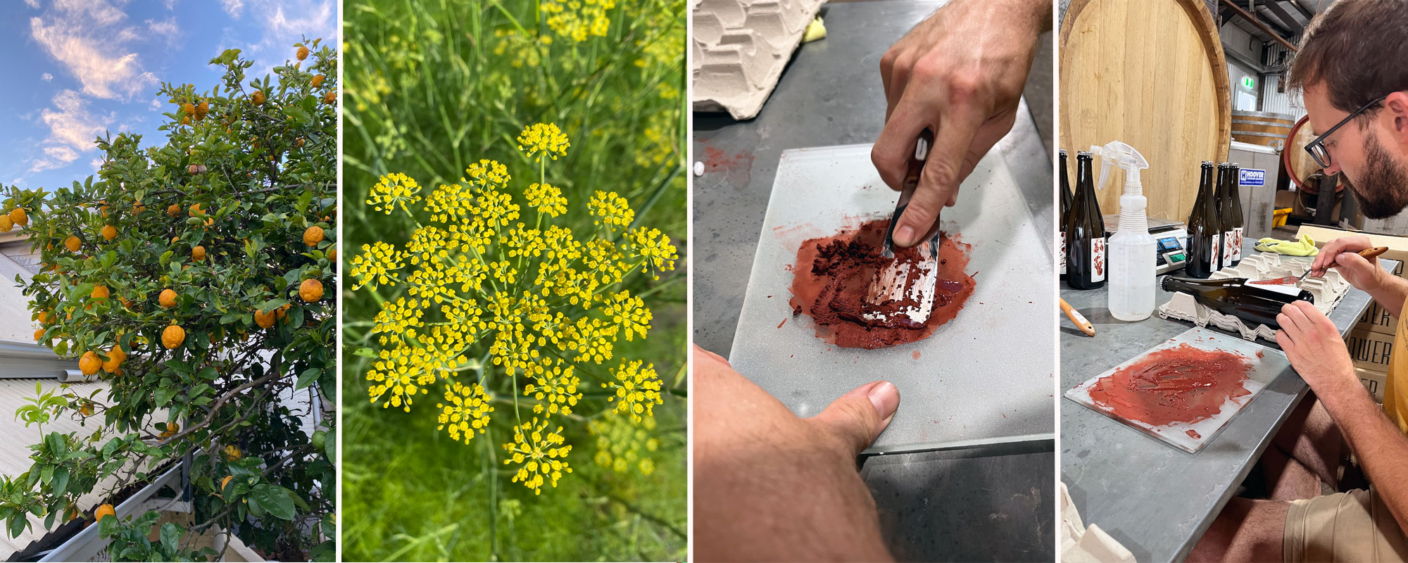 Who Brews As Lora? The Crafty Pint