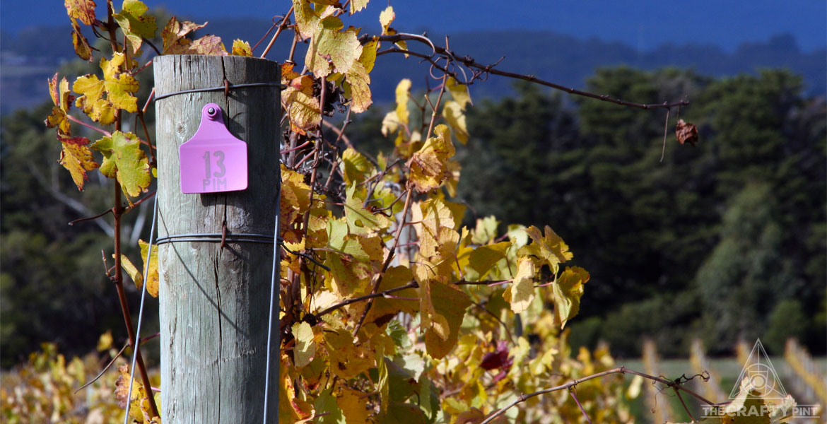 Beer Travel Yarra Valley The Crafty Pint